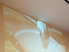 -牛三哥洛阳牛肉汤(生态城店)