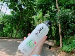 -火炉山森林公园