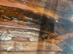 -湘菜时代风味餐厅