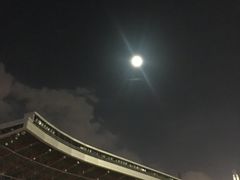 -福建省奥林匹克体育中心-体育馆
