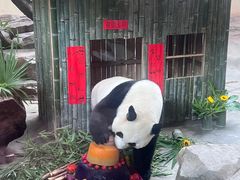 -宁波野生动物园