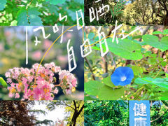 -北岭山森林公园