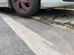 -马黑哥椒麻鸡(清江山水店)