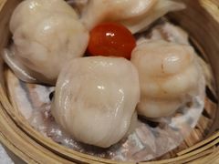 -老广新意(奥园店)