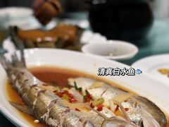 白水鱼-西塘人家•黑金冠本地好店