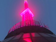 -339旋转餐厅(天府熊猫塔店)