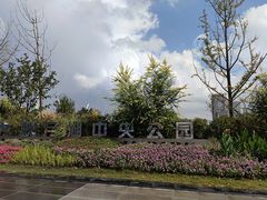 -映月湖中央公园