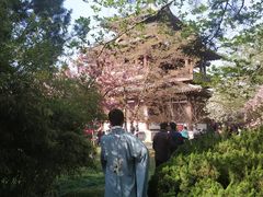 -西安青龙寺遗址景区