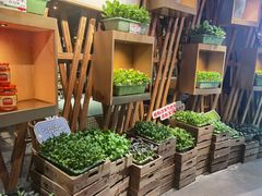 -番食园鲜食火锅(高新店)