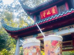 -岳麓山风景名胜区