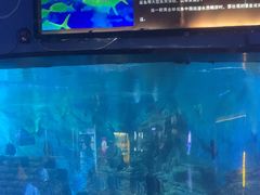 -烟台海昌鲸鲨海洋公园