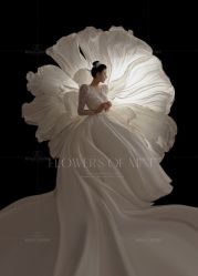 -金夫人婚纱摄影(惠阳店)