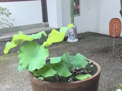 -孔氏南宗家庙