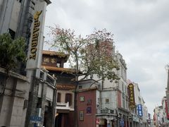 -广州酒家(文昌总店)
