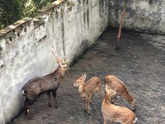 -台州府城(江南长城)