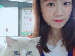 -瞄一喵猫咖(格力海岸店)