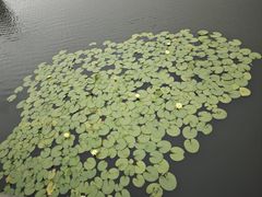 -海纳百川(义乌店)