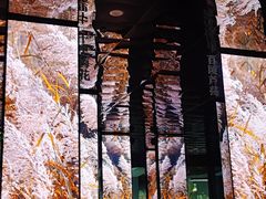 -中国湿地博物馆