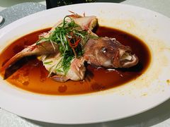 东星斑清蒸东星斑-维园悦谱·海派家常菜(乌鲁木齐南路店)