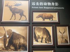 -大庆市博物馆