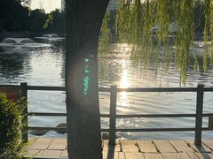 -莲湖公园
