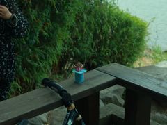 -天目湖涵田度假村