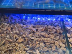 -透明思烤·自助烤肉海鲜火锅(东部星悦天地店)