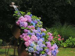 -上海共青森林公园