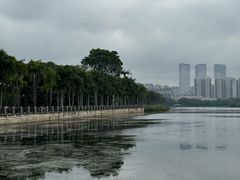 -南宁南湖公园