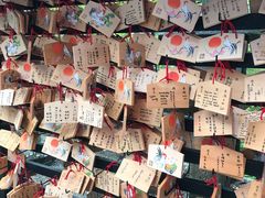 -有栖山 清光院 清水寺