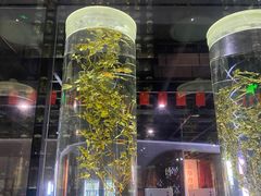 -广东中医药博物馆