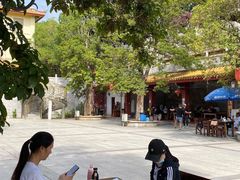 -仙岳公园