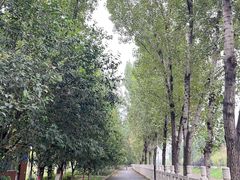 -汉长安城未央宫国家考古遗址公园