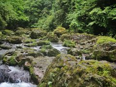 -龙苍沟森林公园