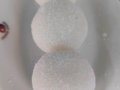 -津可佳·和树银海杂粮
