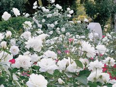 -人民公园(罗湖区)