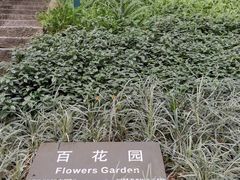-广州老年大学