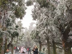 -南岳衡山风景名胜区