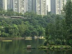 -重庆彩云湖湿地公园