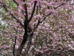 -大明宫国家遗址公园·御道广场