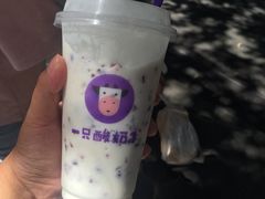 -一只酸奶牛(八一路店)