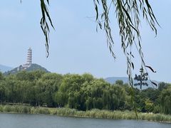 -北坞公园
