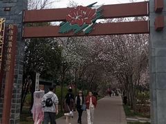 -洛阳市隋唐城遗址植物园