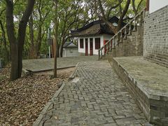 -上海佘山国家森林公园天马山园