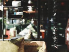 -时光码头民谣公社