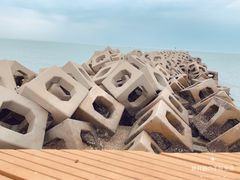 -东疆建设开发纪念公园