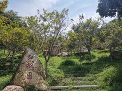 -广州市帽峰山景区