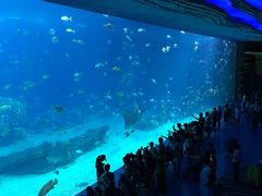 -雨林餐厅(长隆海洋王国店)