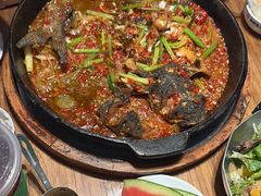 -老板恋上鱼(恒隆广场店)