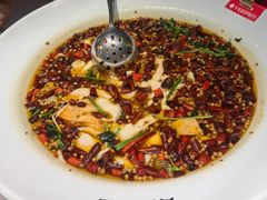 水煮鲜活鲈鱼-麻都·成都菜(人民广场店)